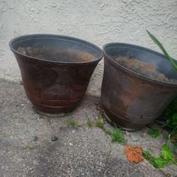  Nice 2  Strong Paps For Plans