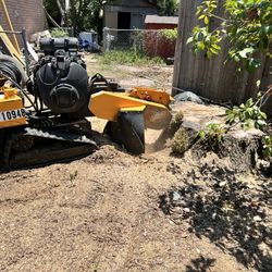 Stump Grinding 