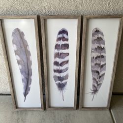 Large feather Paintings With Glass/Wooden Frames 