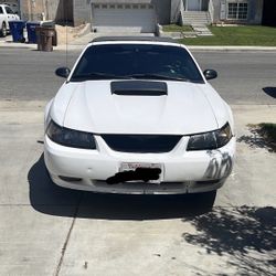 2004 Mustang GT