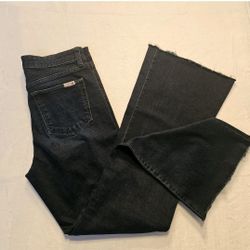 Joe’s Jeans High Rise Flare Leg Raw Hem Veles Style AWCVE15715 Women's Size 29