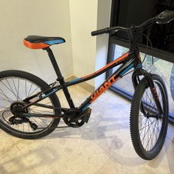 Giant Xtc Jr  24 Bike
