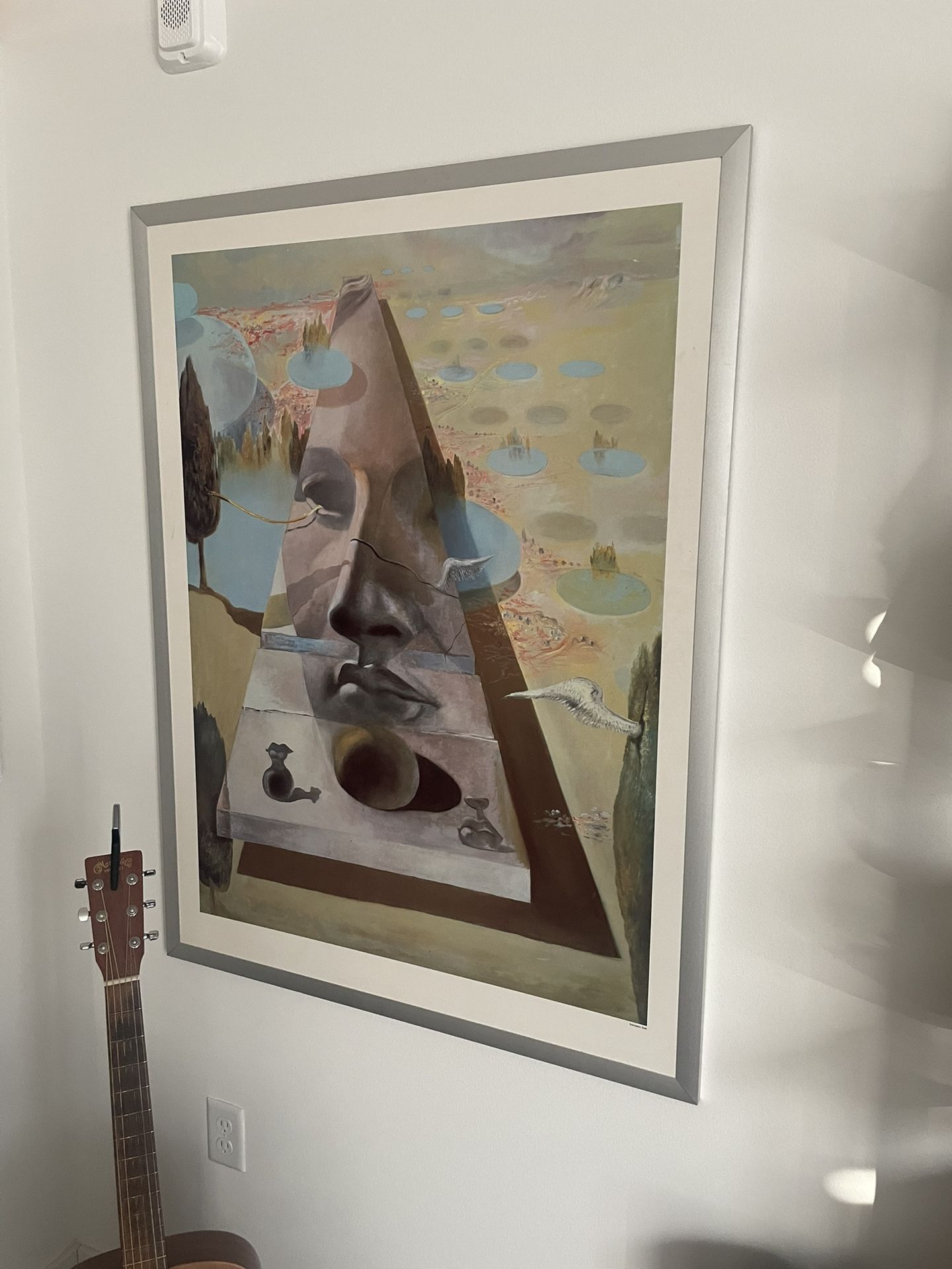 Framed Salvador Dalí Print – Surrealist Artwork