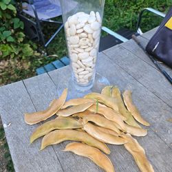 Lima beans