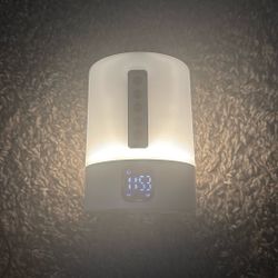 Speaker And Alarm And Charger