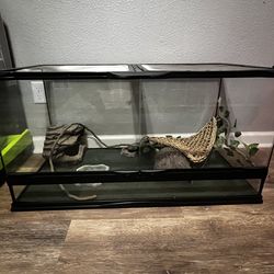 Reptile tank