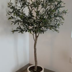 Fake Olive Tree