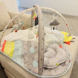 Skip Hop Activity Gym Play Mat