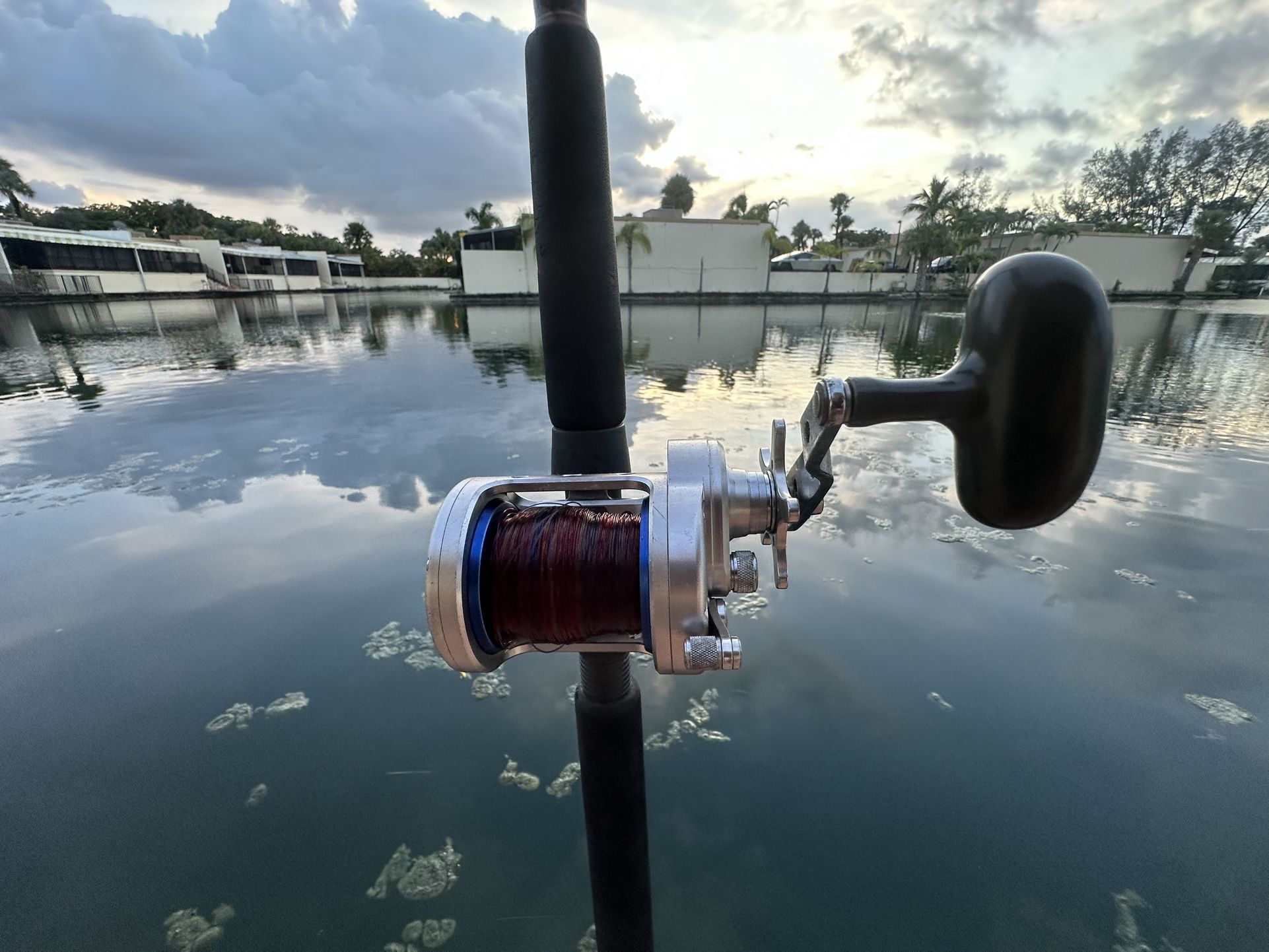 Preowned Daiwa Saltiga 50 Reel On A Preowned Custom Made 7.5FT 25-50 Rod🔥