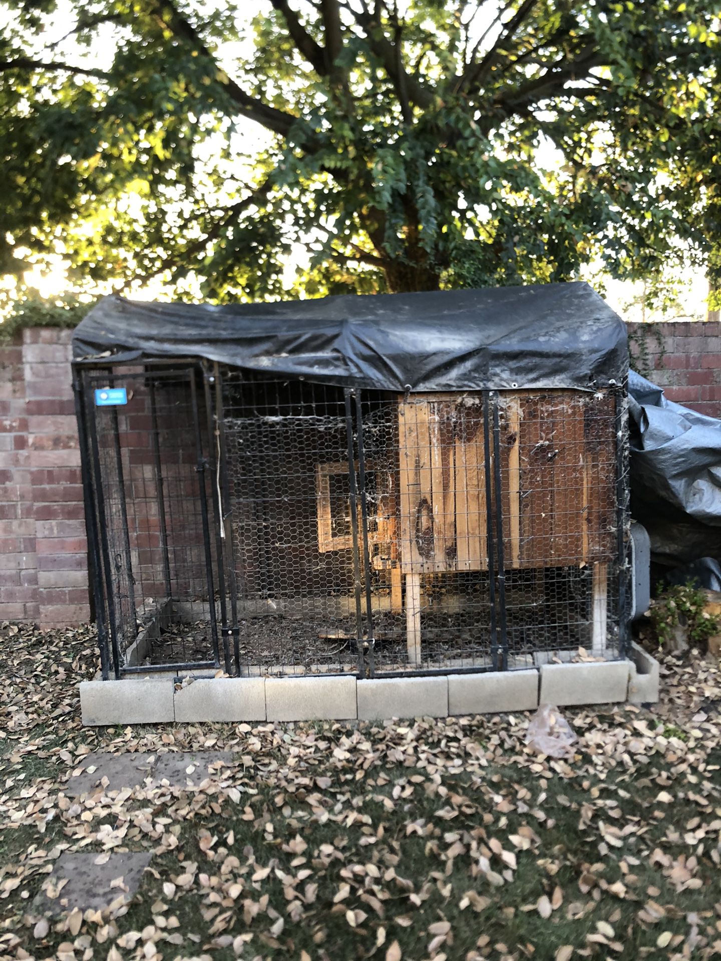 Dog kennel with chicken coup 8x4 ft