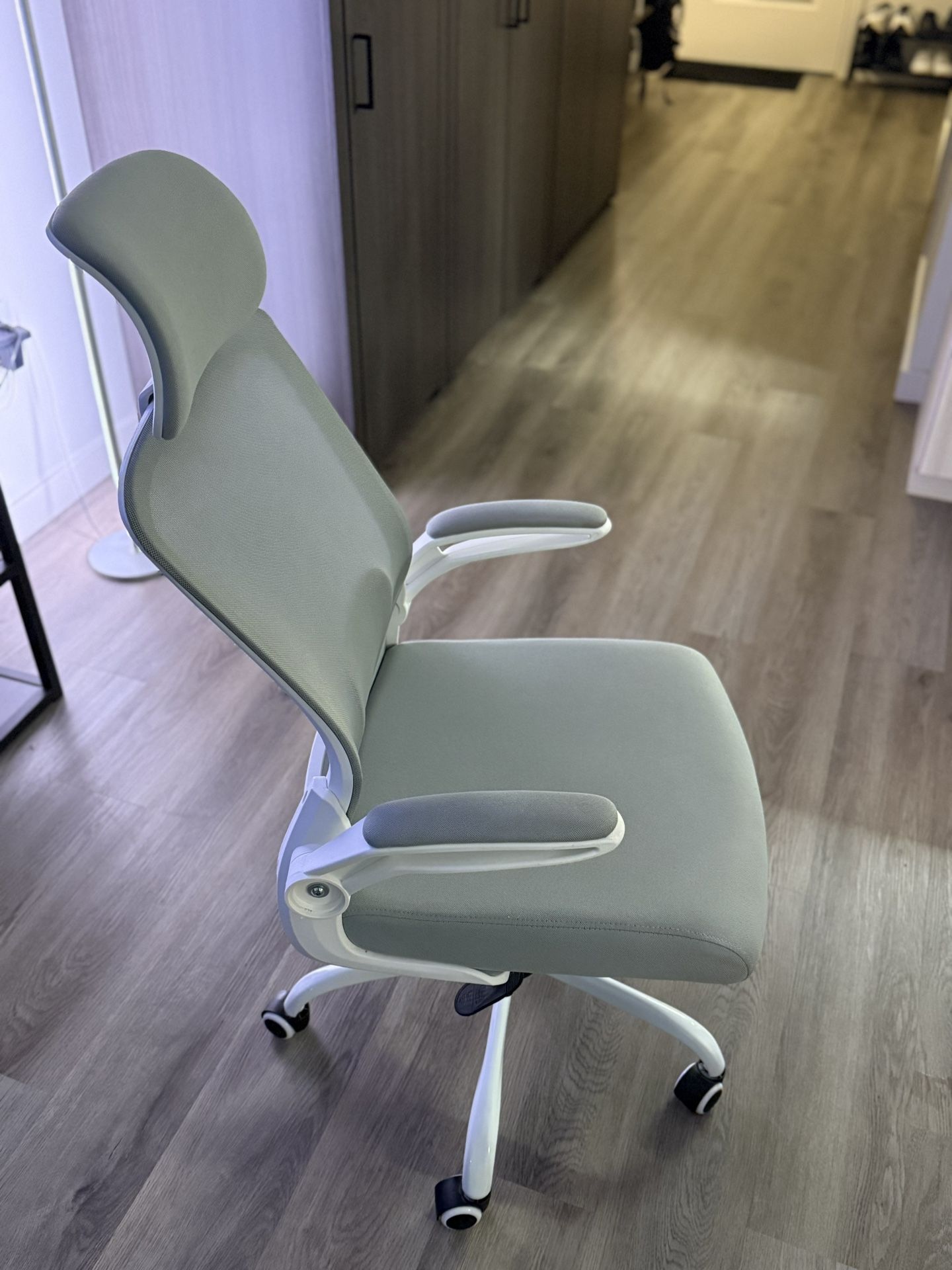 Ergonomic Office Chair