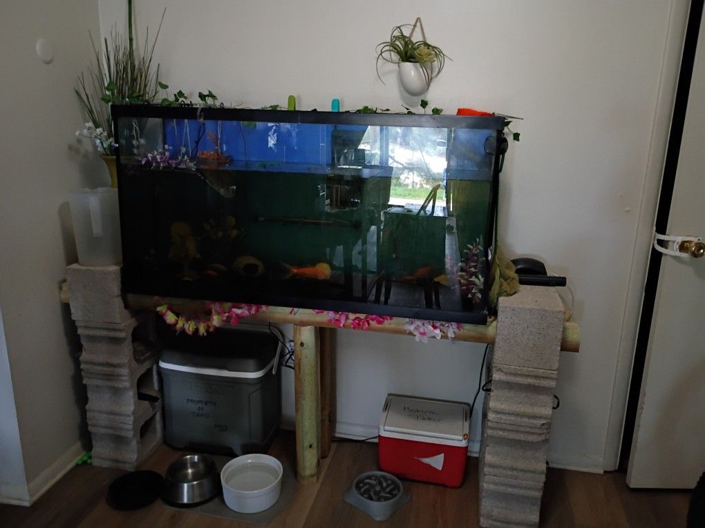 75 Gallon Fish Tank Aquarium