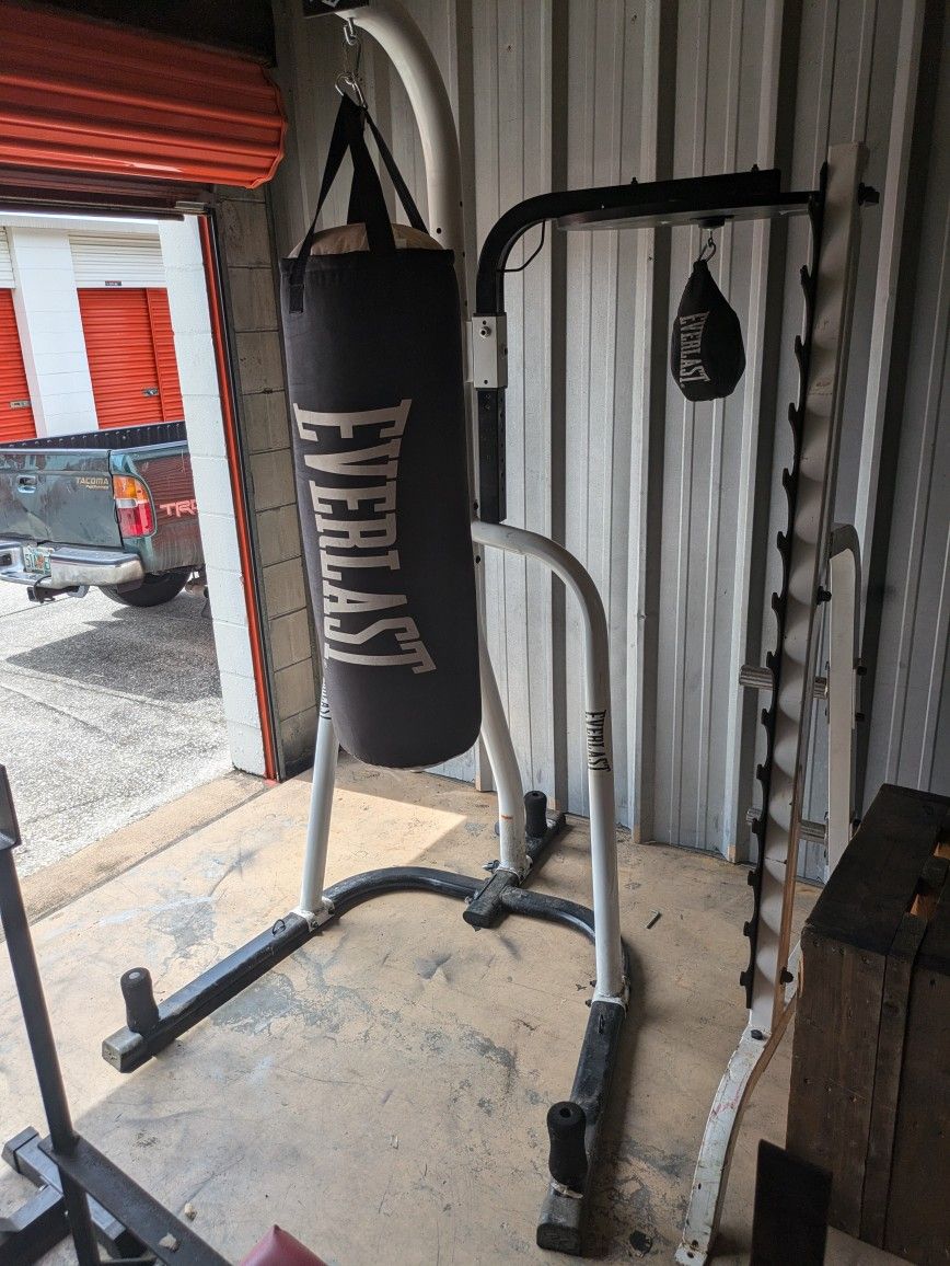 Punching Bag With Speed Bag