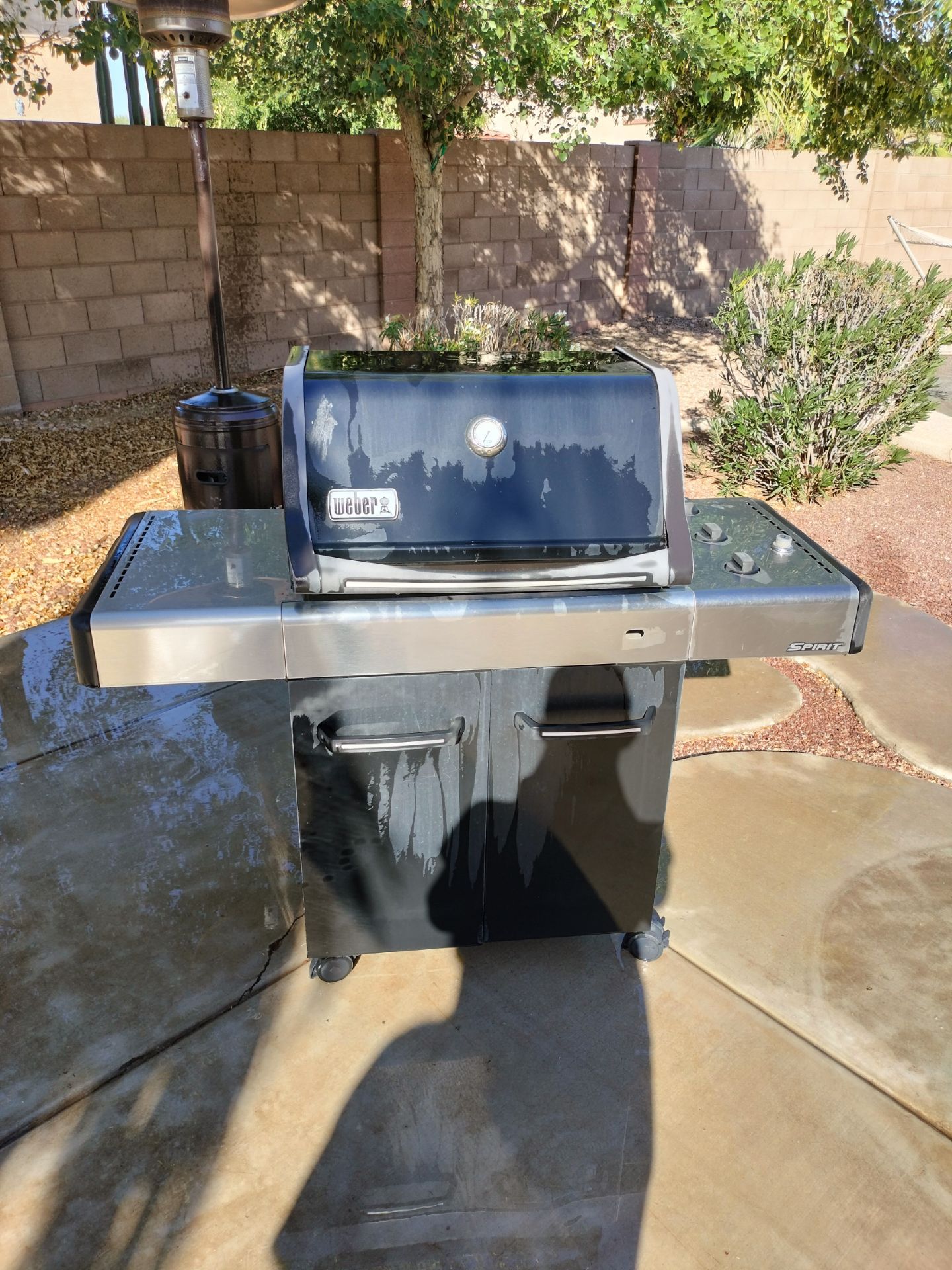Gas BBQ grill