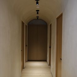 Venetian plaster 