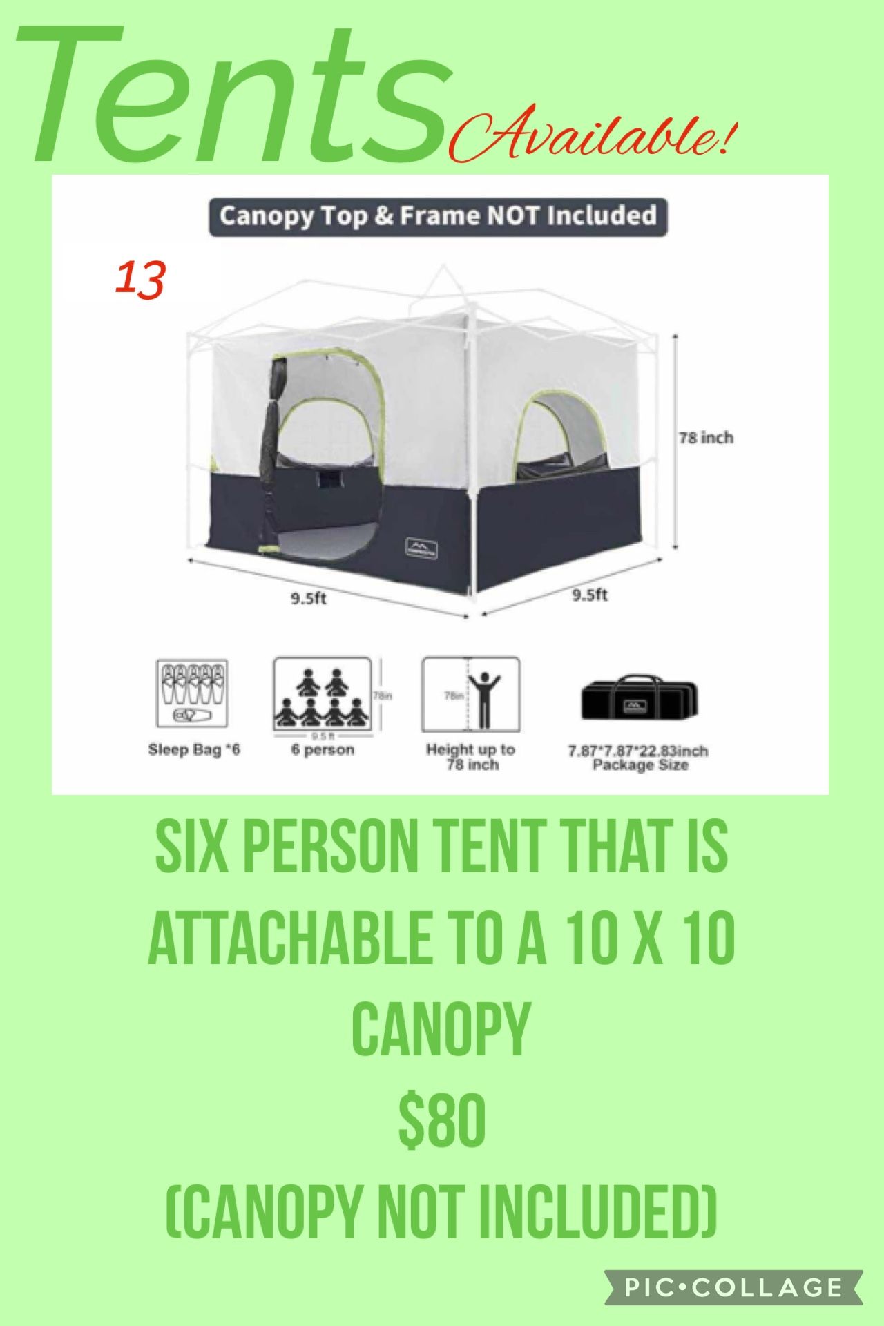 6 Person Tent