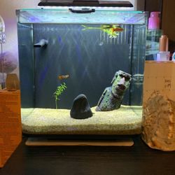 10gallom Fish Tank