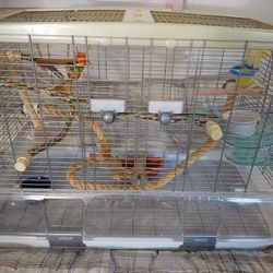 Bird Cage and Accessories