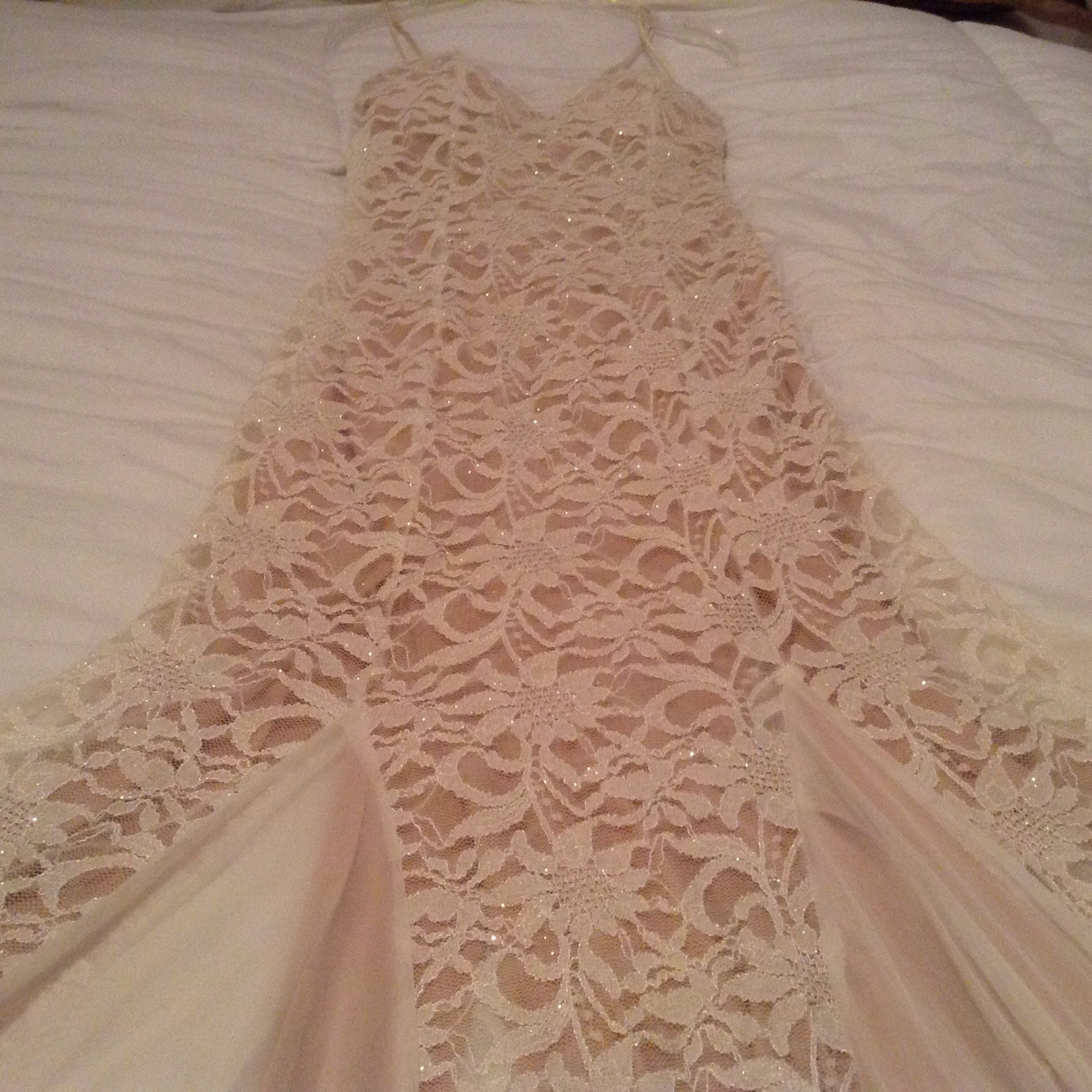 Runway Model Prom Dress for $50!!