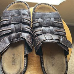 Brown Slides