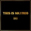 ThisIsWayneo