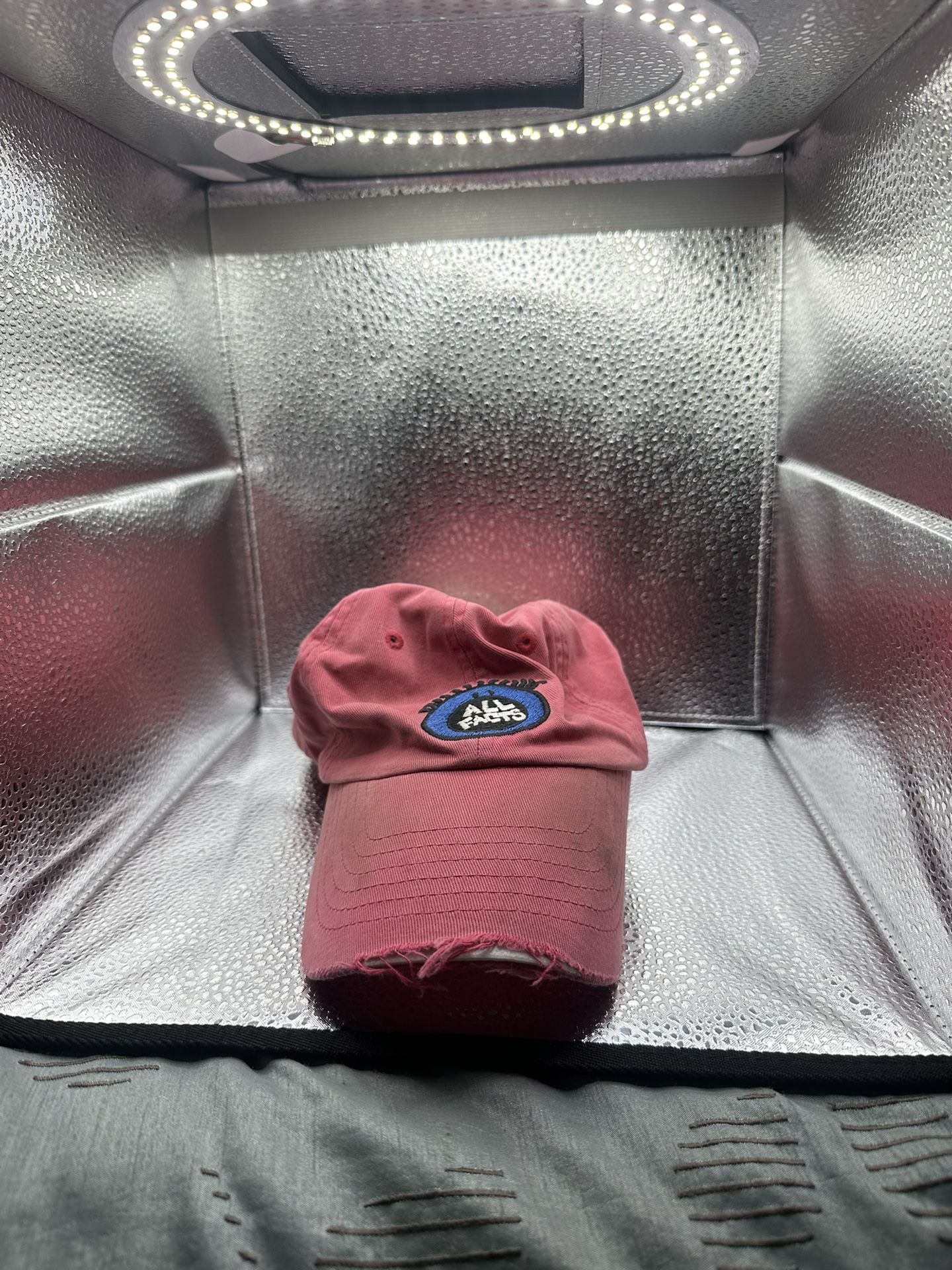 Pink Distressed Dad Hat - All Faults/Outside Eye