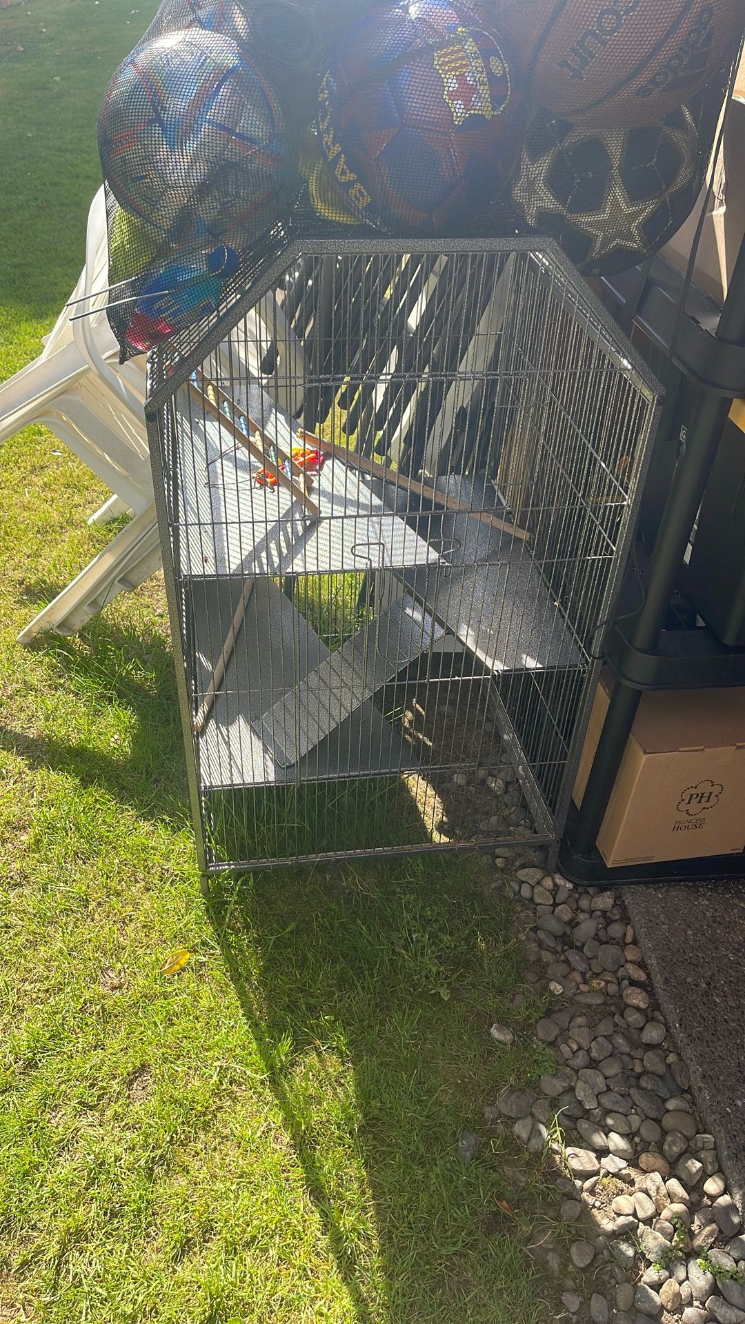 bird cage
