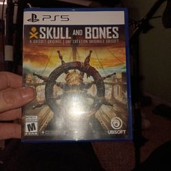 Skulls and bones PlayStation 5 video game in perfect condition