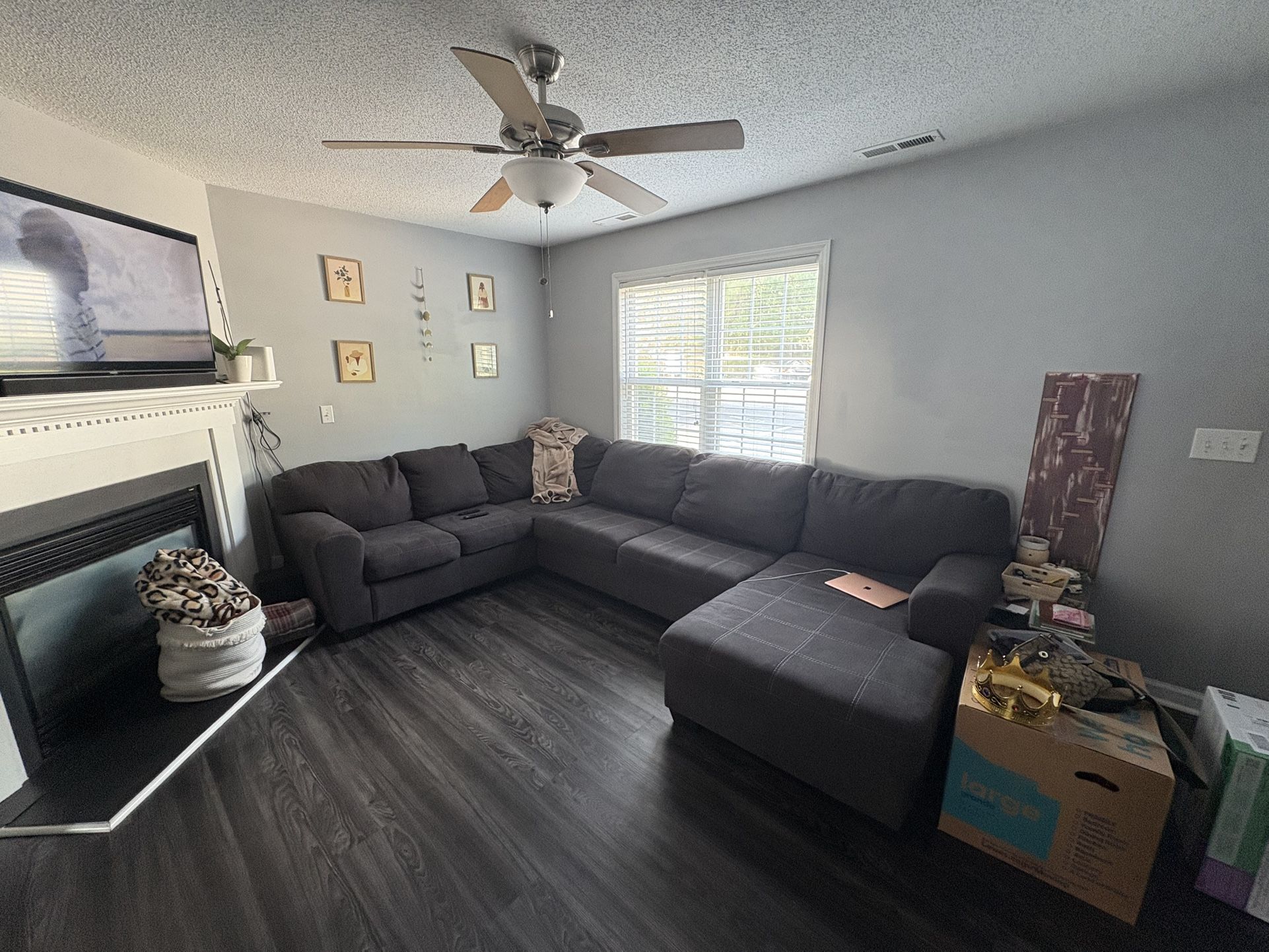 Grey Sectional Couch