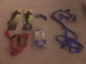Dog harness leashes seatbelt restraint