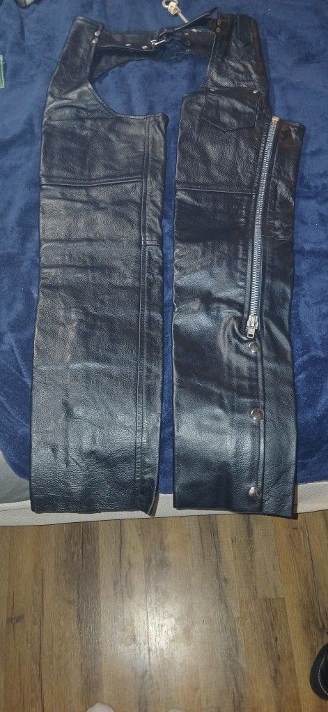 Womens Petite Lg Chaps.