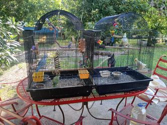 2 Cage