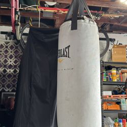 Everlasting Punching Bag
