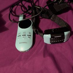 Training Collar