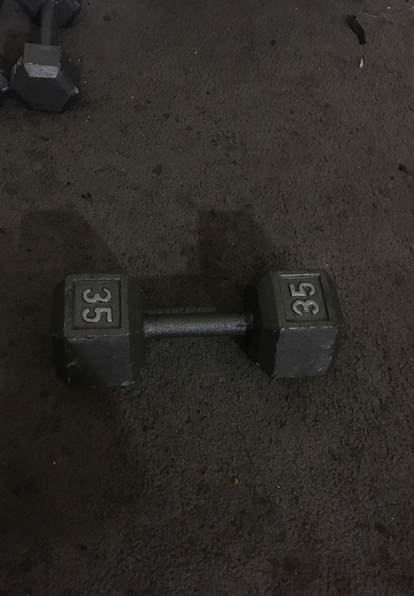 Dumbbell 35 LB Weights