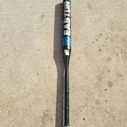 Easton Softball Bat