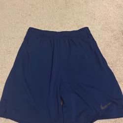 Dri-fit Nike 7” Shorts