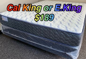 King supreme ortho Matres!