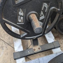 2 45lb Weight Plates 