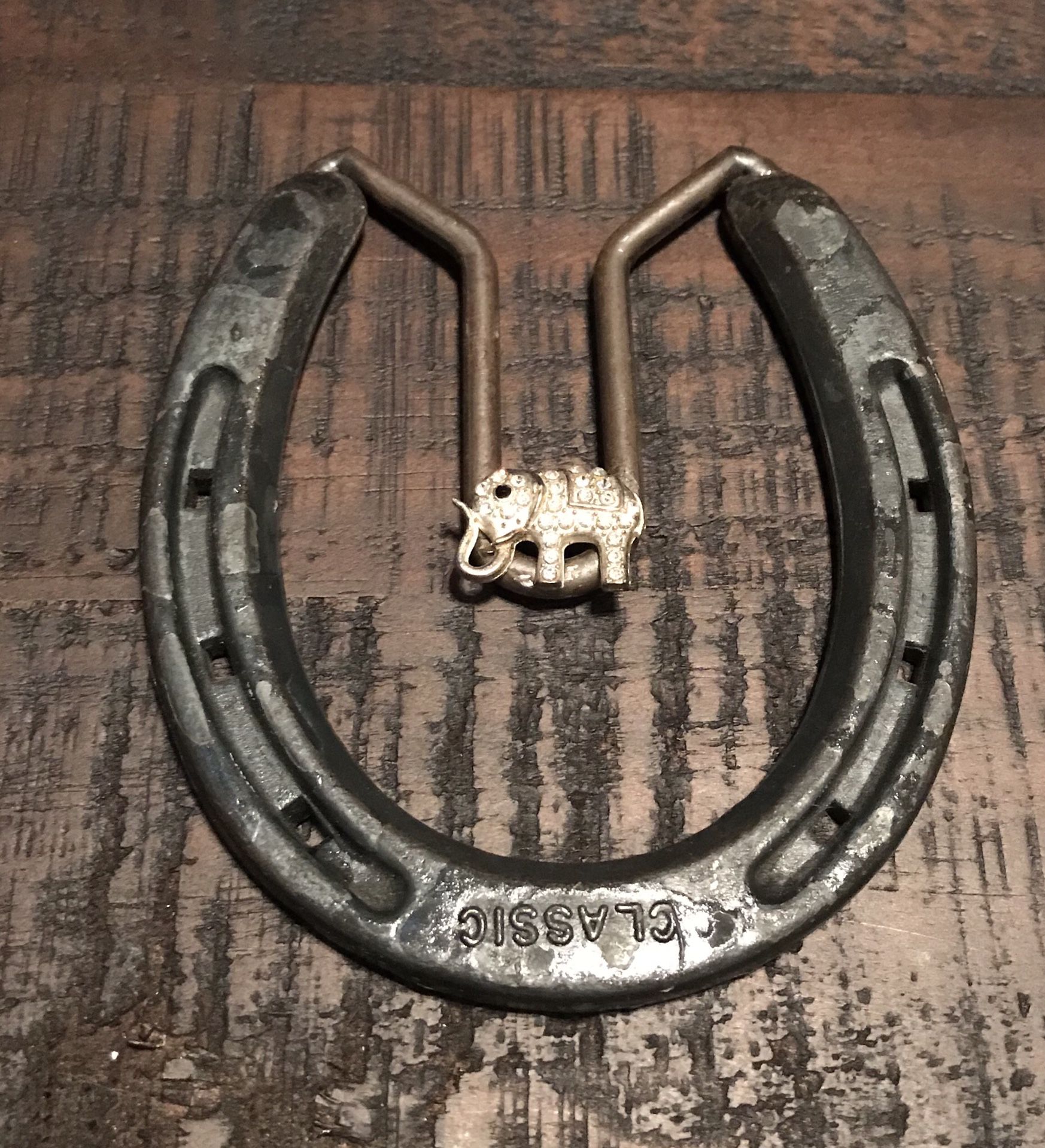 Horse Shoe horseshoe for Good Luck just $3