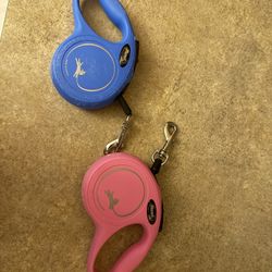 Pet Leash 
