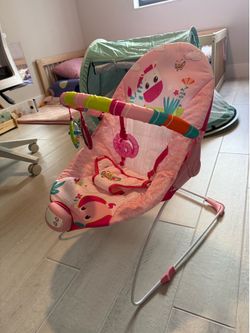 Bright Starts Baby Bouncert