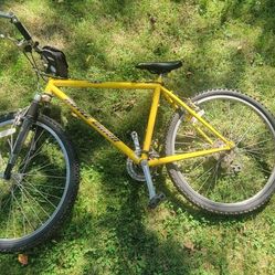 Men's Mountain Bike  21 Speed