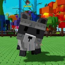 grow a garden RACCOON PET