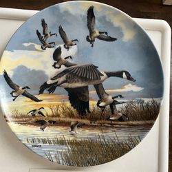 Limited Edition Plate Of “ The Landing “