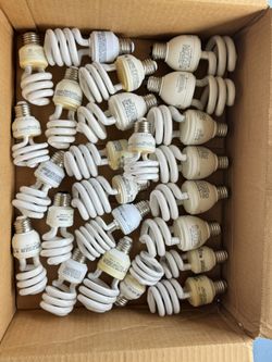 CFL Light Bulb