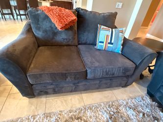 Living Spaces Loveseat