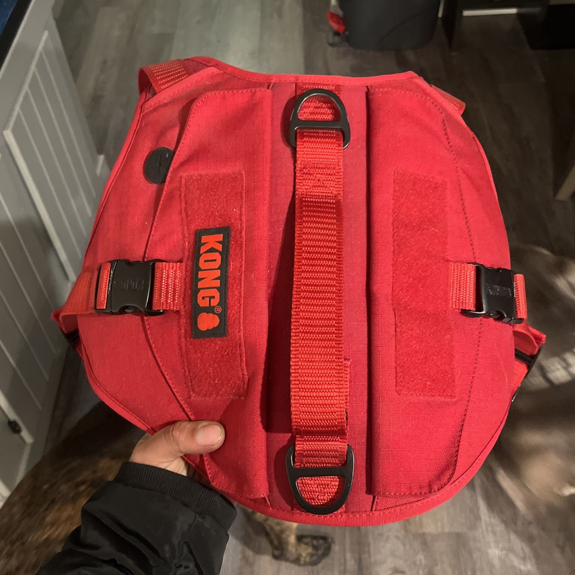Kong Harness