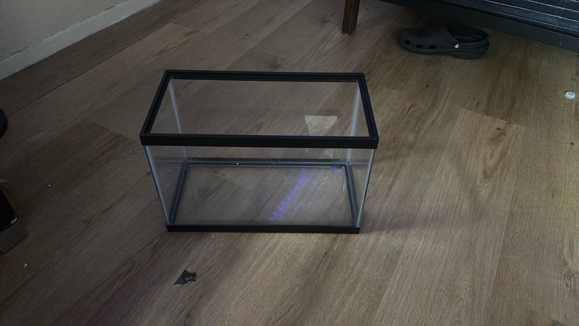 5.5 Gallon Fish Tank , Top Fin 50w Heater And A 5-10 Gallon Filter From Top Fin And Free Goldfish Food .