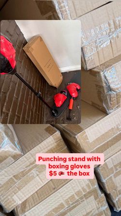 Punching bag with gloves